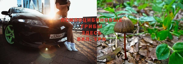 марки nbome Беломорск