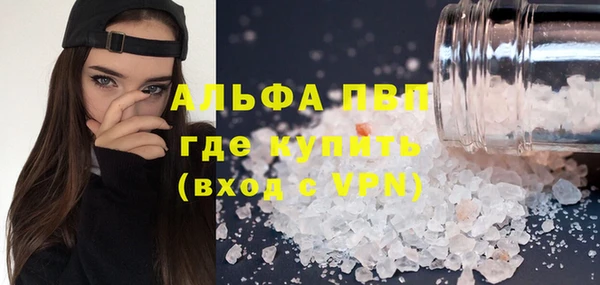 спиды Белокуриха