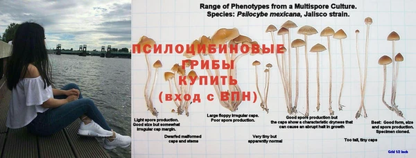 спиды Белокуриха